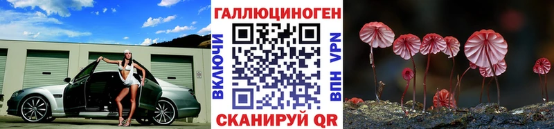 Псилоцибиновые грибы Cubensis  где купить наркотик  Данков 
